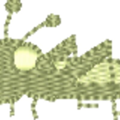 Grasshopper Thumbnail